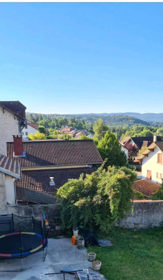 Le Nid Pres Du Lac Clairvaux-les-Lacs Luaran gambar